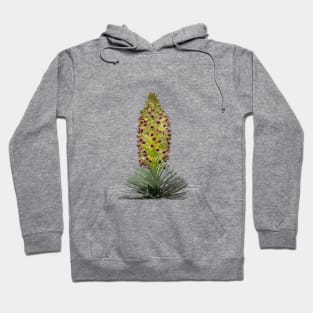 Haleakalā Silversword or ‘Āhinahina Hoodie